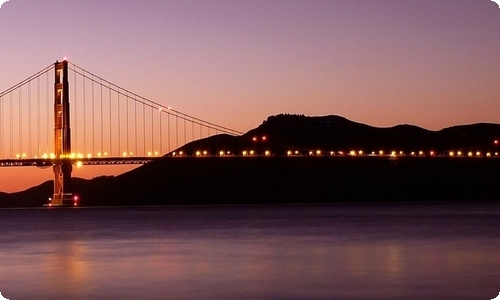 关于写花的植物的作文8篇