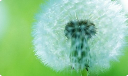 瓦尔登湖读后感（通用7篇）