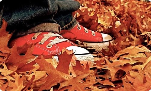 精选说明文的作文300字四篇