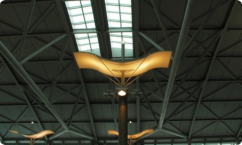 精选三年级作文300字5篇