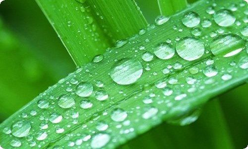 【必备】老师的一封信作文合集5篇