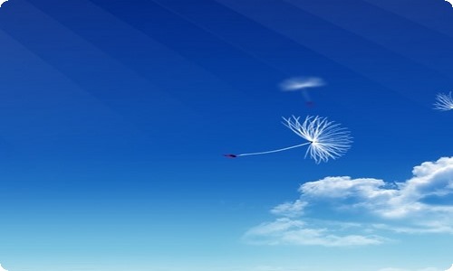 【推荐】小学二年级作文300字集合六篇