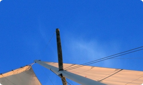 【精品】高三作文300字集锦十篇