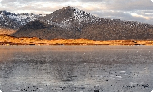 五一劳动节周记3篇