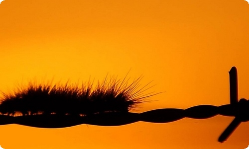 【必备】四年级的老师的作文4篇