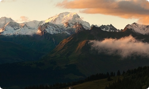 【精选】平安作文400字3篇