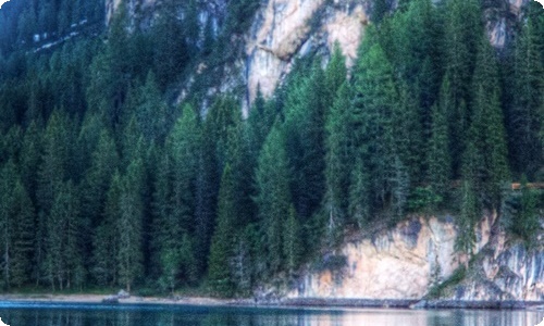 关于小狗说明文作文合集八篇