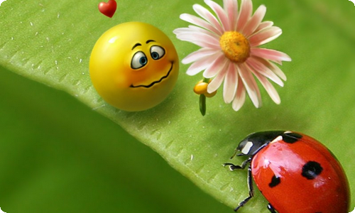 【推荐】三年级同学作文八篇