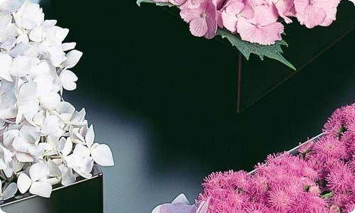 与父亲的对话人物作文