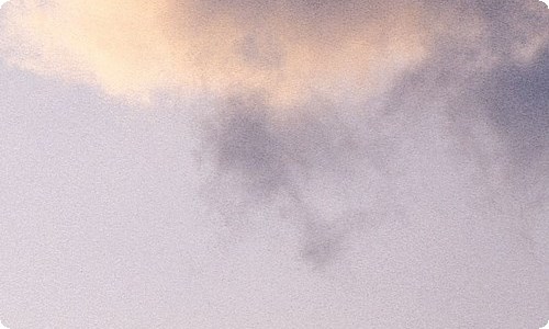 精选我家的猫的作文400字5篇