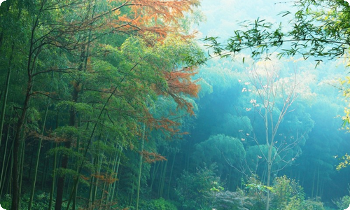 描写田园生活优美段落