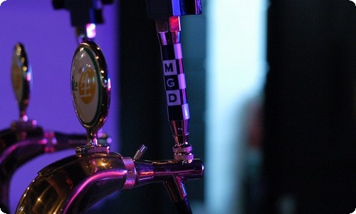 关于最爱的植物作文六篇