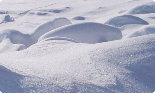 上网课写给老师的一封信