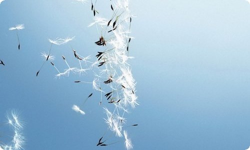 消防安全观后感合集15篇