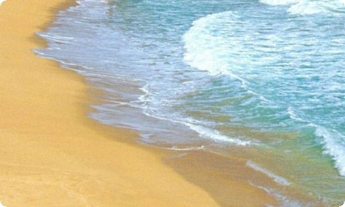 实用的三年级过年的作文4篇