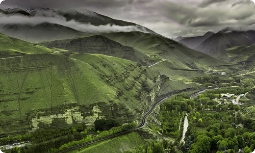 动物情感作文集锦5篇