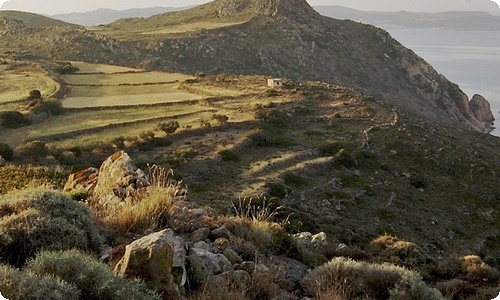 描写月光的优美段落