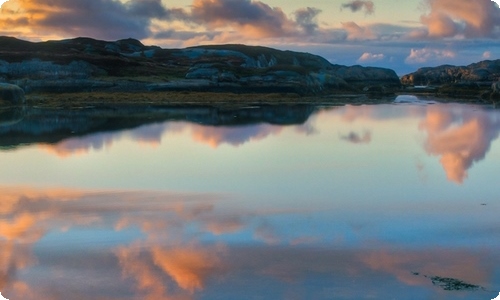 【精选】美丽作文300字3篇