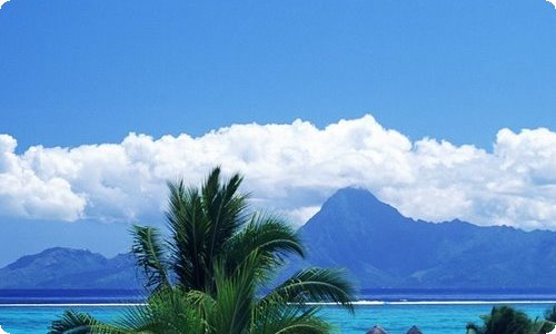 高三寒假致家长的一封信