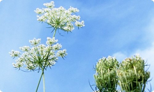 《狂人日记》读书笔记10篇