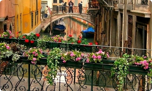 【实用】期中作文600字4篇