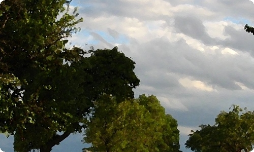 【精选】找春天二年级作文300字7篇