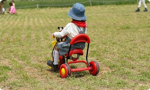 精选坚持的作文600字汇总8篇