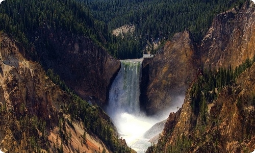 2020年读书的名言汇编30句