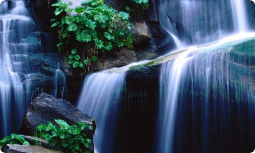 【必备】考试的日记3篇