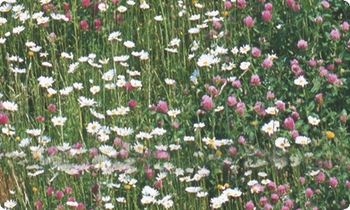 有关意义的事作文3篇