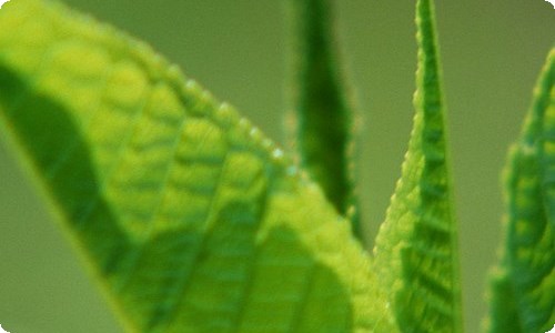 【推荐】感动的事作文7篇