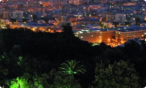 吊兰观察日记精选15篇