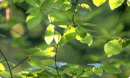 有关初一感恩父母的作文400字汇编六篇