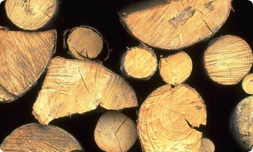 六年级课余生活作文汇总10篇