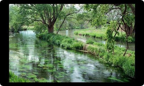 【必备】我们的节日春节作文400字5篇