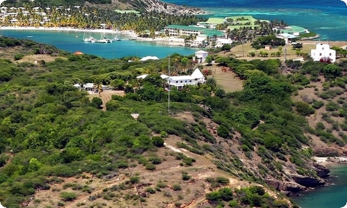 【热门】说明文的作文300字合集10篇