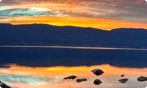 实用的海鸥的作文300字10篇