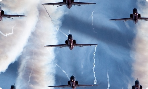 实用的我家的猫的作文合集8篇