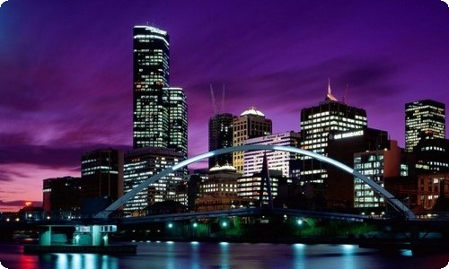 关于说明文的作文300字锦集5篇