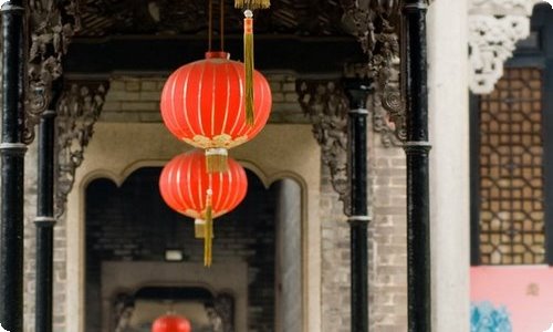 观察蚂蚁日记集合6篇