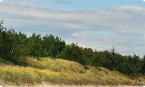 【推荐】四年级的我作文合集8篇