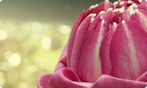 四年级文化作文汇编6篇