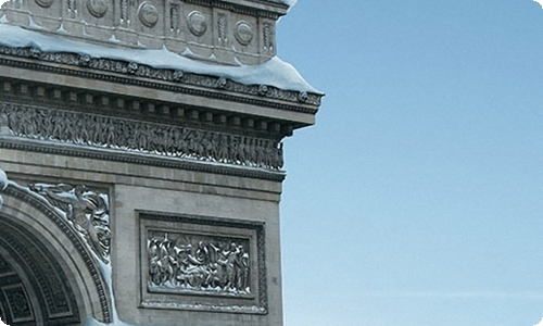 精选观察植物的作文汇总5篇