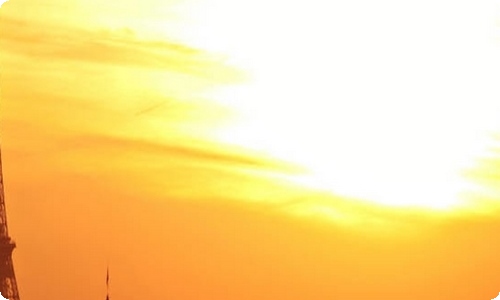 理智与情感读后感