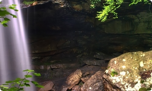 【精品】初中周记6篇