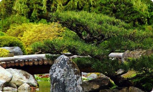 二十年后回故乡记叙文(13篇)