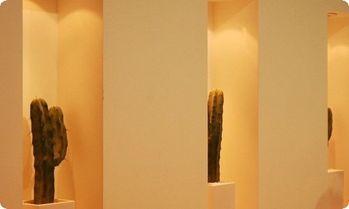 关于说明文的作文4篇