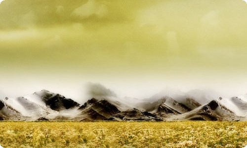 有关优秀植物作文400字9篇