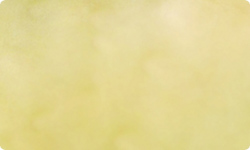 关于情感与理智作文合集10篇