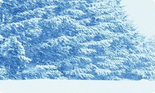 比别人多坚持一会儿作文